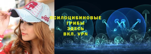 крисы Майский