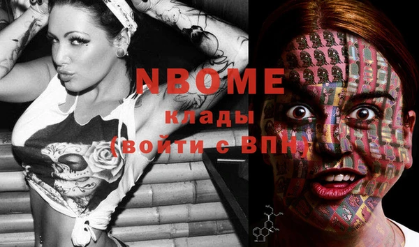 крисы Майский