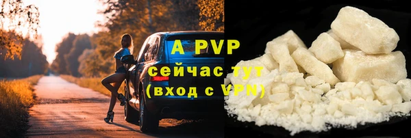 амф Магадан