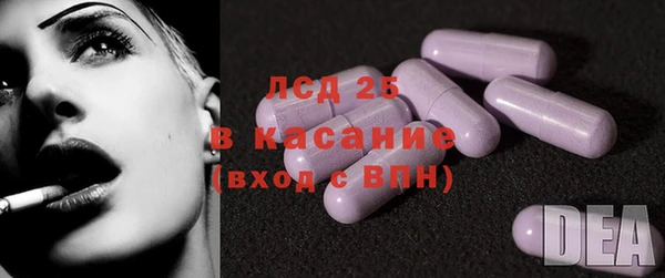 крисы Майский