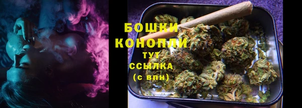 крисы Майский