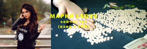 амф Магадан